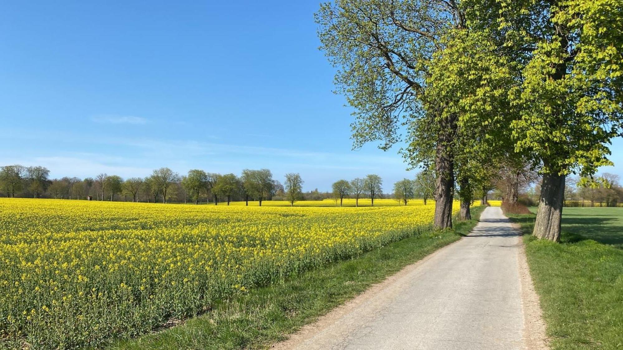 Gut Koselau Landhaus II Exteriér fotografie