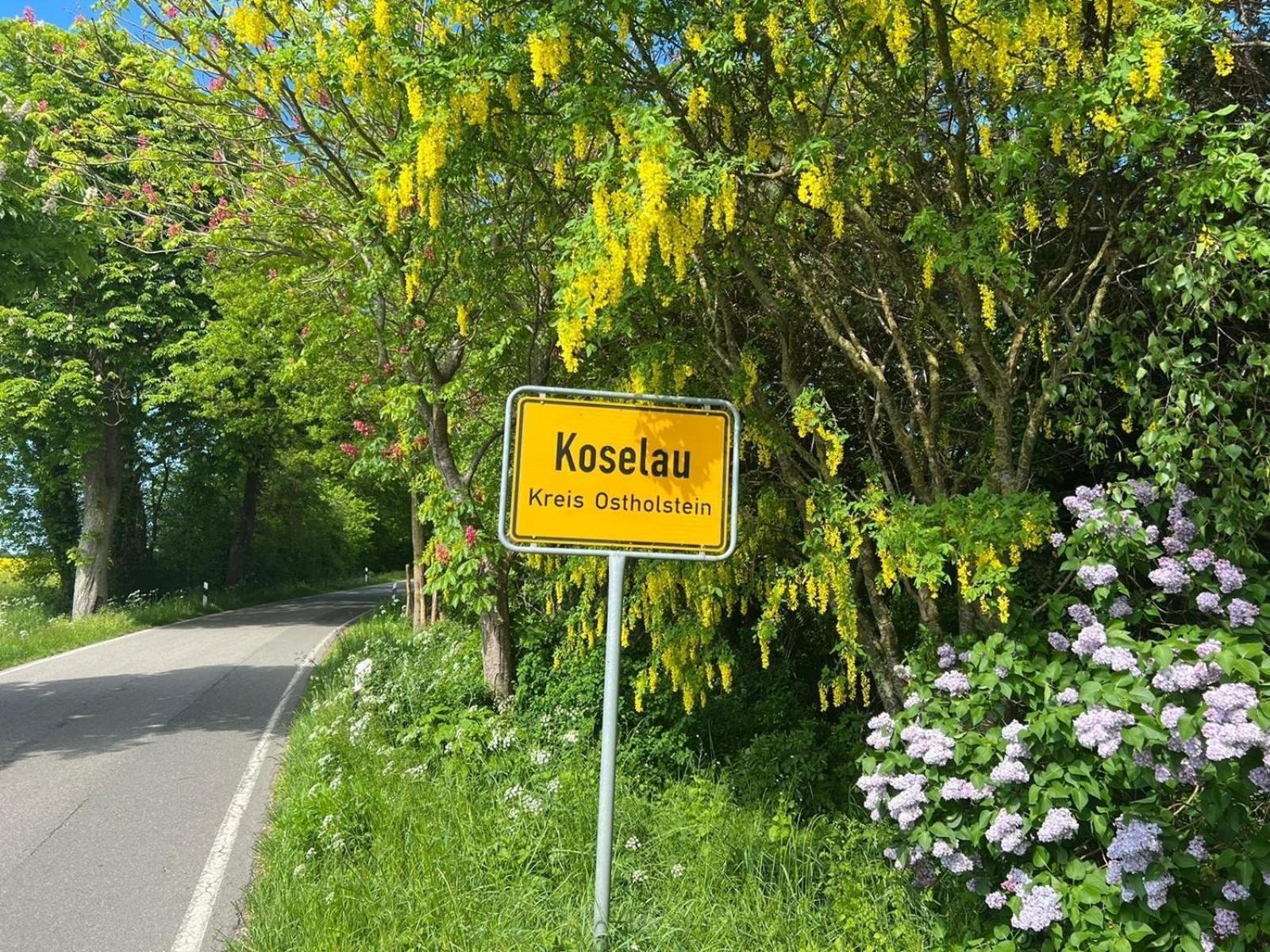 Gut Koselau Landhaus II Exteriér fotografie